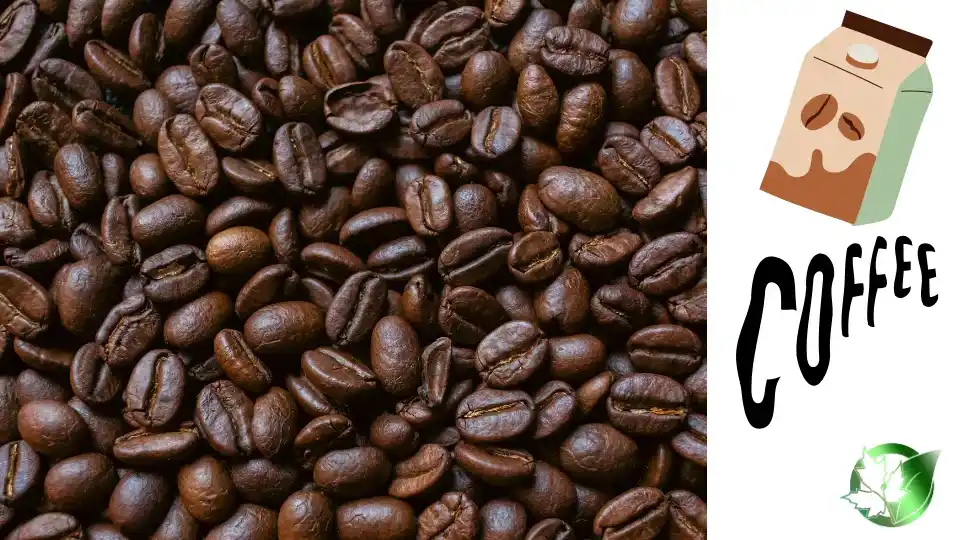 Vendor evaluation for Coffee Creamer should cover specification, packaging, documentation, logistics, and all-in receiving cost.
